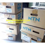 ĐẠI LÝ NHẬP KHẨU BÁN BẠC ĐẠN NTN